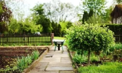 Are you spending too much on Home Improvement?