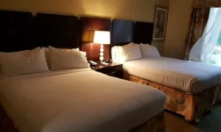 How to Choose Between a Hotel and a Serviced Apartment for Your Next Trip